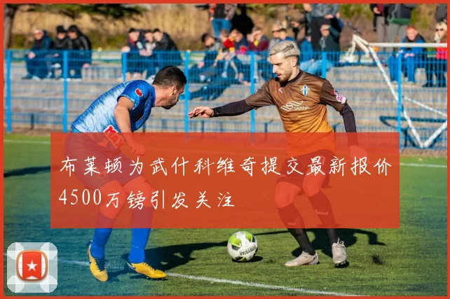 布莱顿为武什科维奇提交最新报价4500万镑引发关注